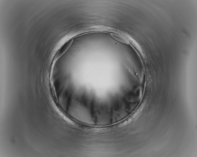 X0000112051381200909010933