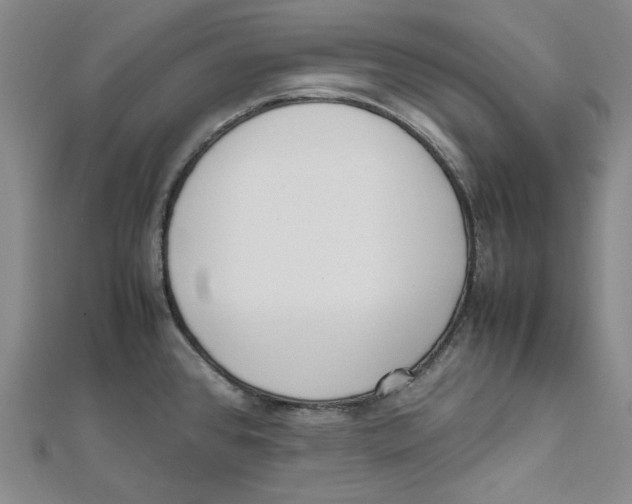 X0000112051384200909010933