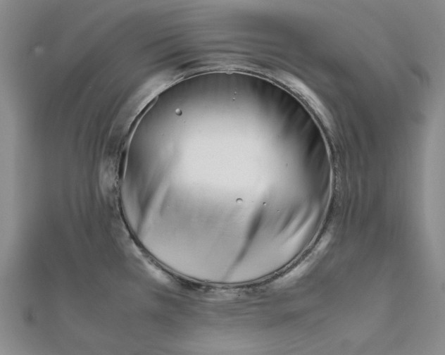X0000112051385200909010933