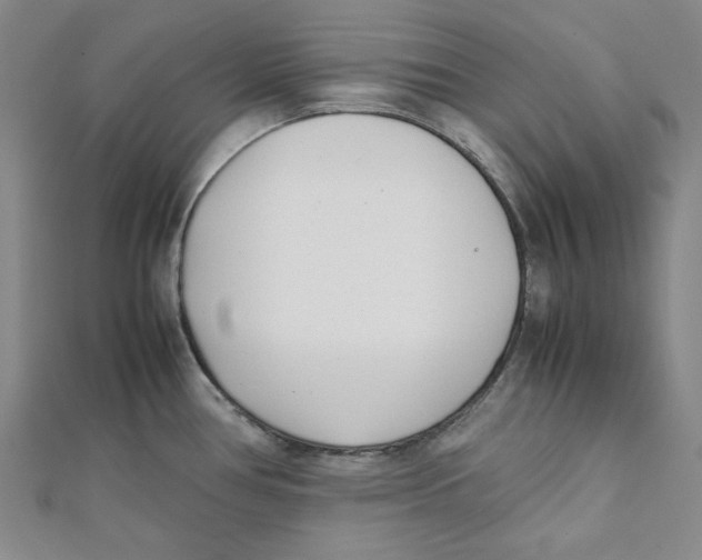 X0000112051386200909010933