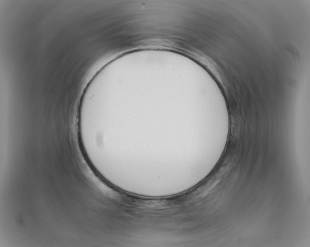 X0000112051387200909010933