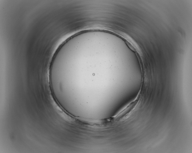 X0000112051388200909010933