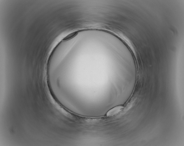 X0000112051389200909010933