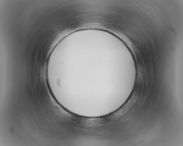 X0000112051390200909010933