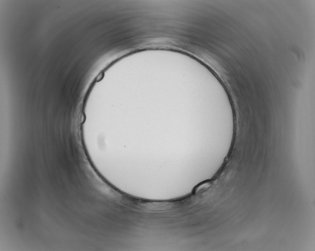 X0000112051392200909010933