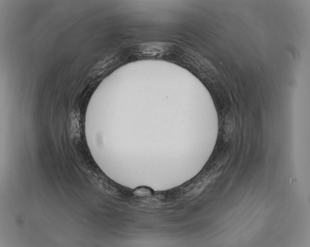 X0000112051394200909010933