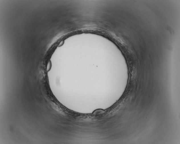 X0000112051400200909010933