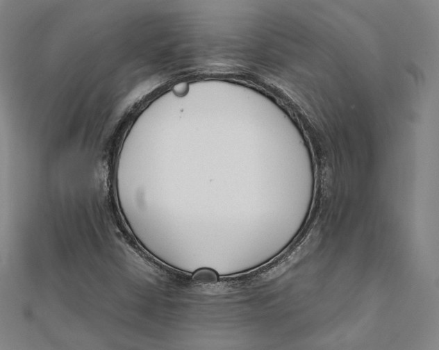 X0000112051402200909010933