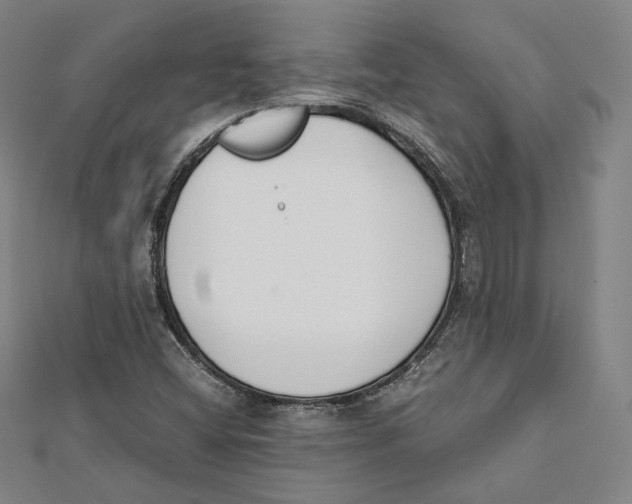 X0000112051404200909010933