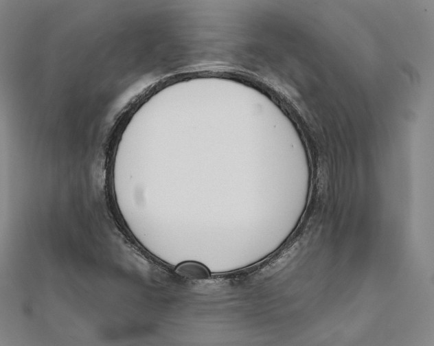 X0000112051406200909010933