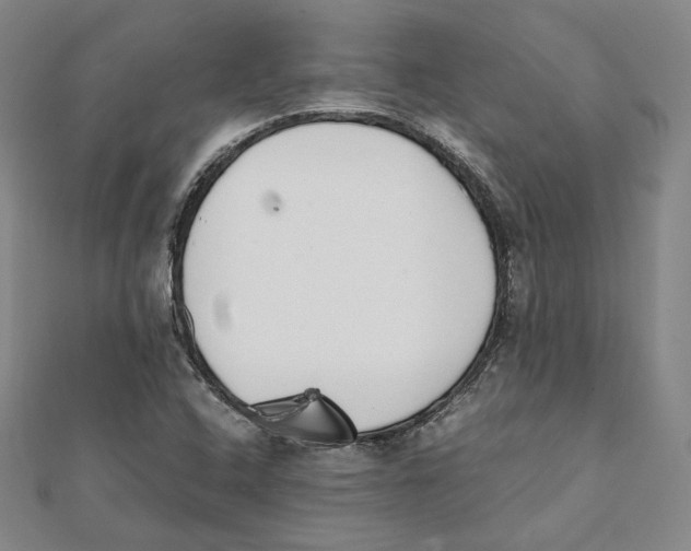 X0000112051408200909010933