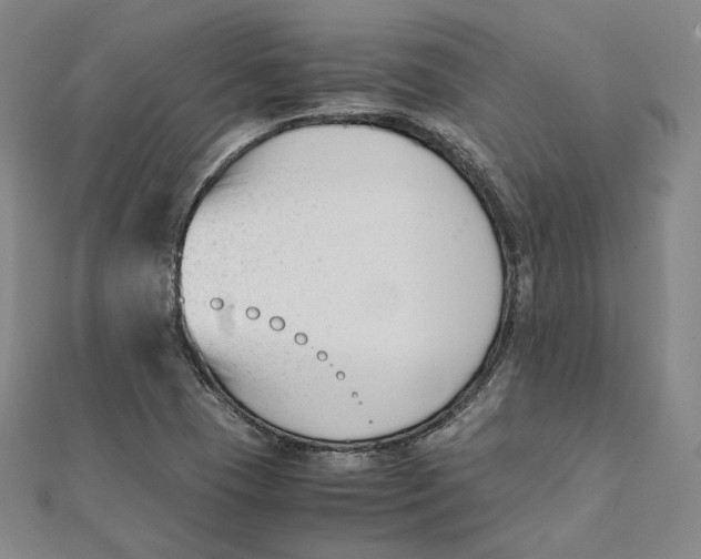 X0000112051409200909010933