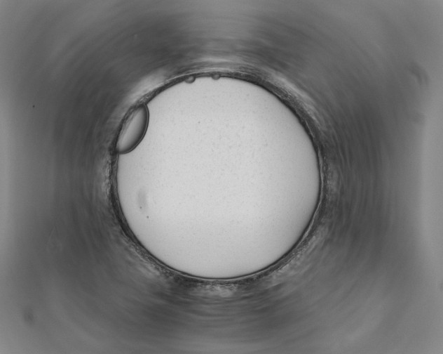 X0000112051411200909010933