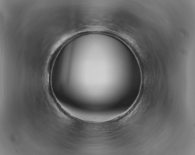 X0000112051414200909010933