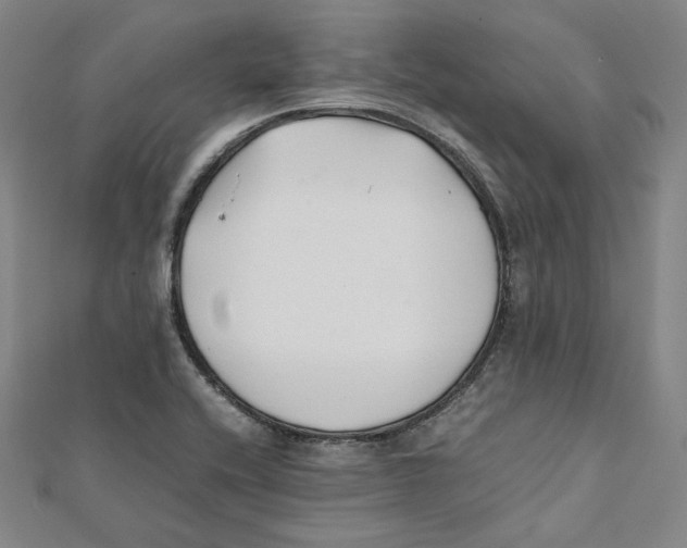 X0000112051416200909010933