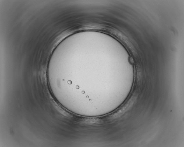 X0000112051417200909010933