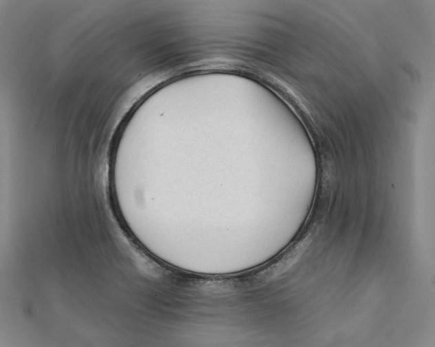 X0000112051418200909010933