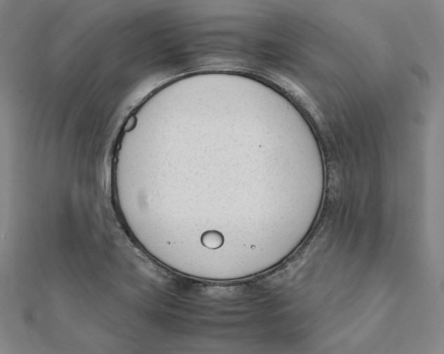 X0000112051419200909010933