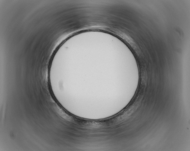 X0000112051420200909010933