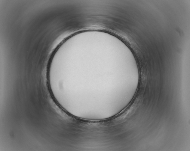 X0000112051422200909010933