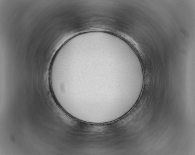 X0000112051423200909010933