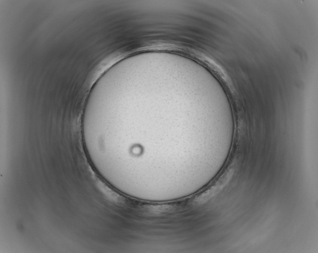 X0000112051425200909010933