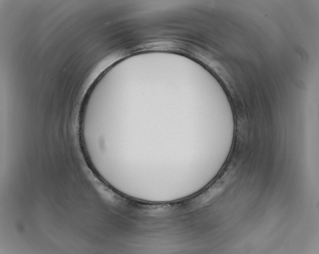 X0000112051426200909010933