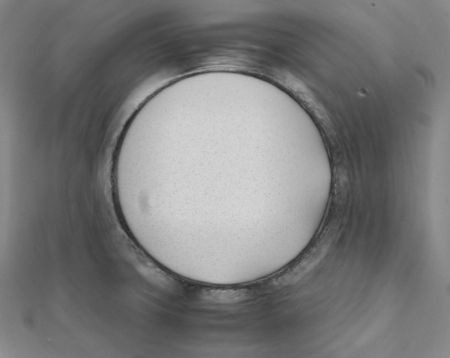 X0000112051427200909010933