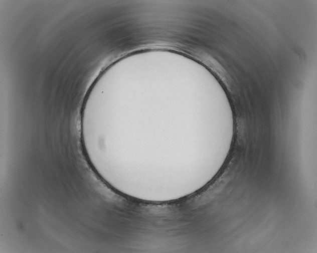 X0000112051428200909010933