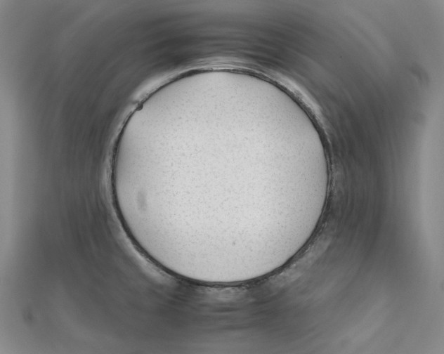 X0000112051429200909010933
