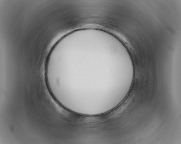 X0000112051430200909010933