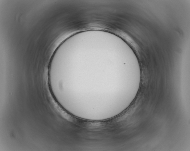 X0000112051431200909010933