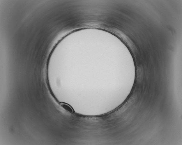 X0000112051432200909010933