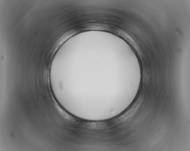 X0000112051433200909010933