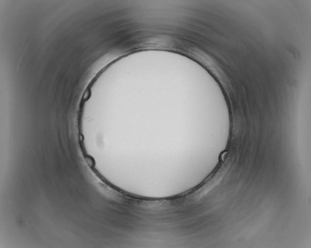 X0000112051434200909010933