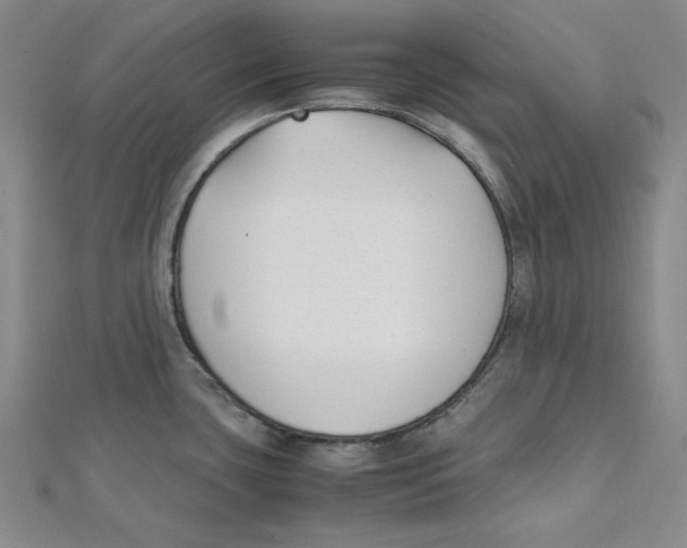 X0000112051435200909010933