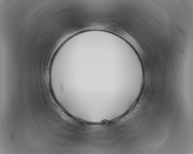 X0000112051436200909010933