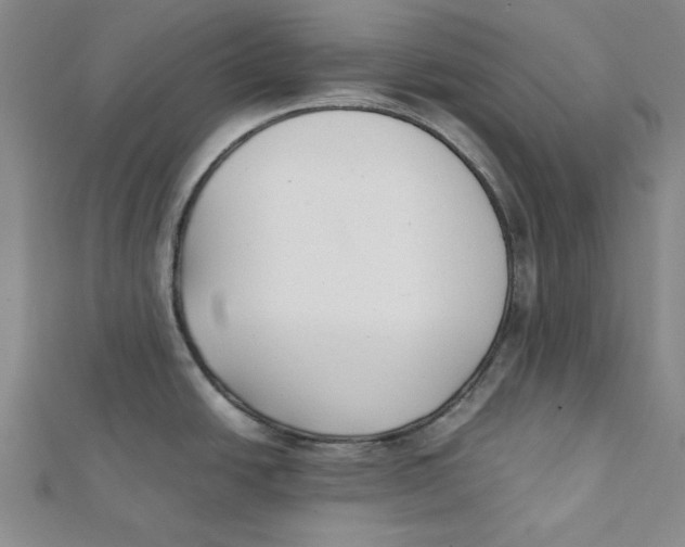 X0000112051438200909010933