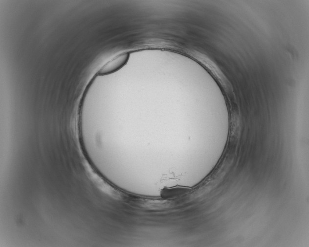 X0000112051439200909010933