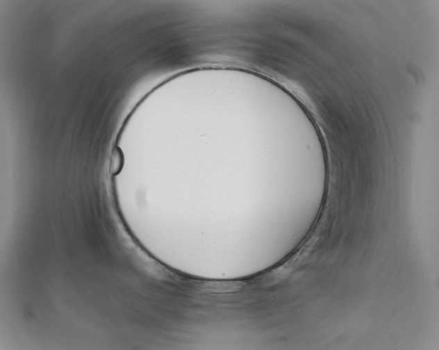 X0000112051440200909010933