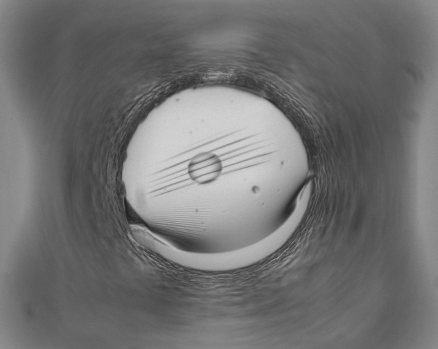 X0000112051441200909010933