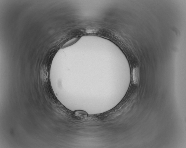 X0000112051443200909010933