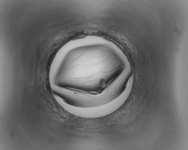 X0000112051445200909010933