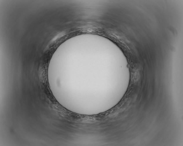 X0000112051446200909010933