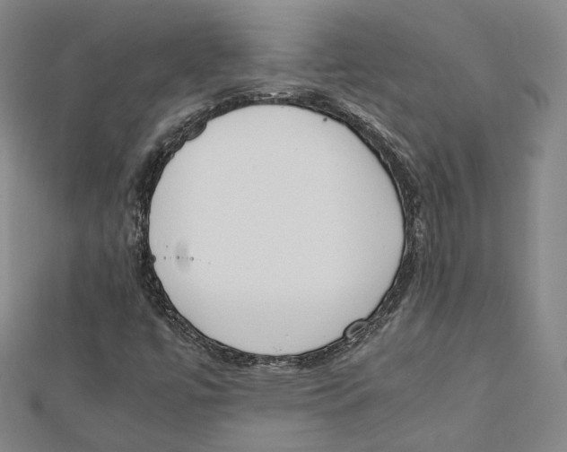 X0000112051447200909010933