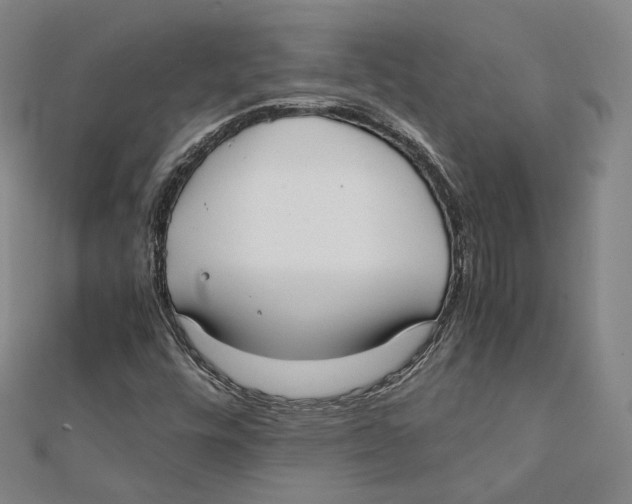 X0000112051448200909010933