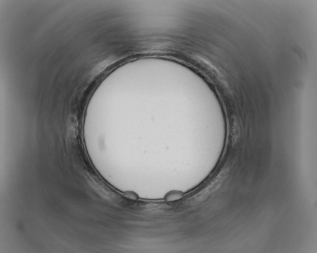 X0000112051449200909010933