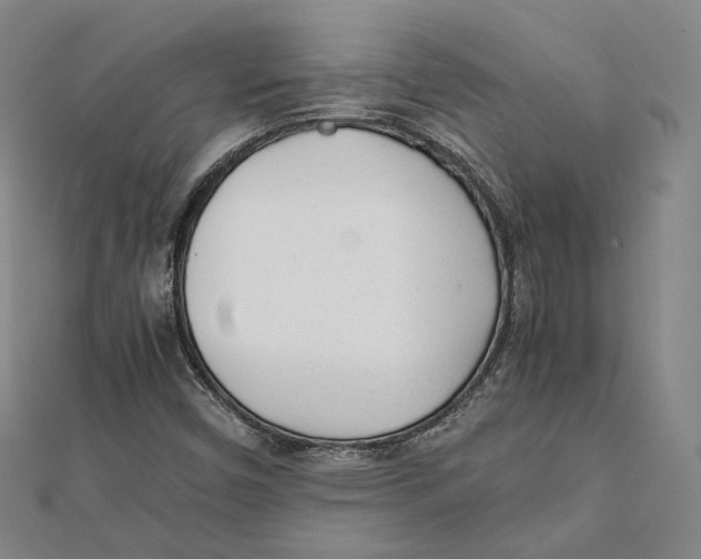 X0000112051450200909010933