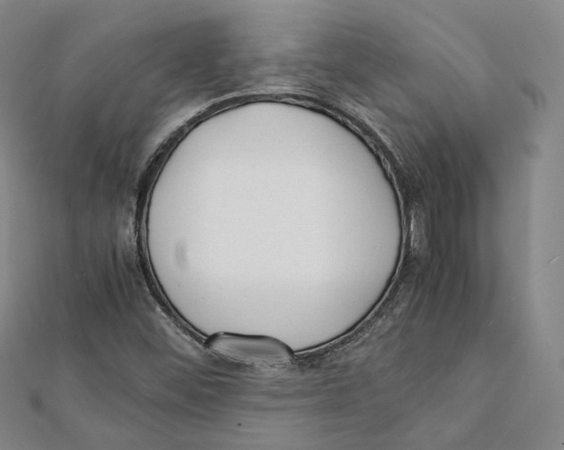 X0000112051452200909010933