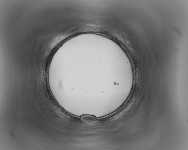 X0000112051453200909010932